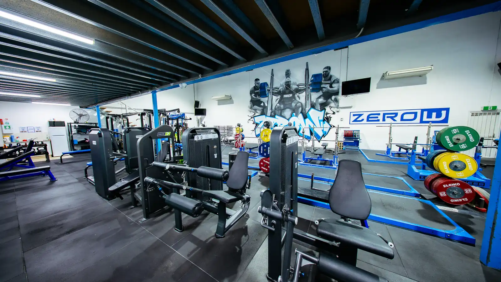 Ground ZeroW pin-loaded machines and plate tree