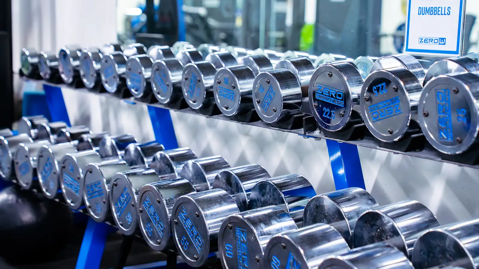 Ground ZeroW chrome dumbbell racks